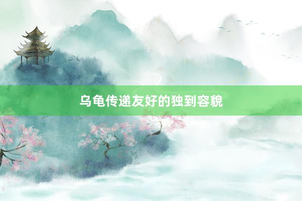 乌龟传递友好的独到容貌