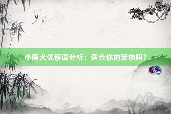 小鹿犬优谬误分析：适合你的宠物吗？
