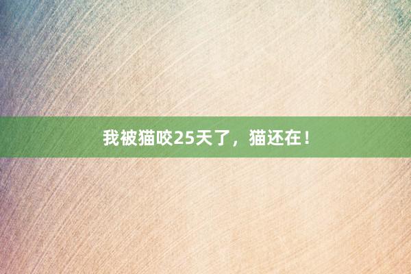 我被猫咬25天了,猫还在!