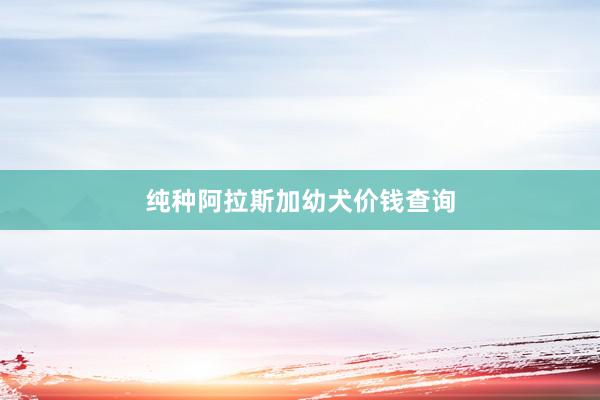 纯种阿拉斯加幼犬价钱查询
